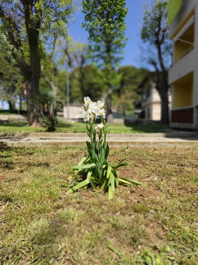 Apartament Bright&Cozy Pula Zewnętrze zdjęcie